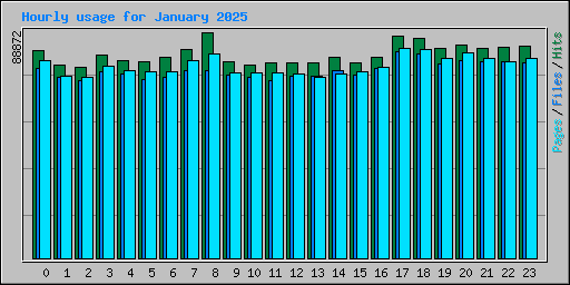 Hourly usage for January 2025