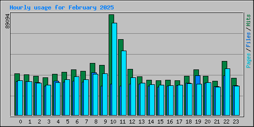 Hourly usage for February 2025