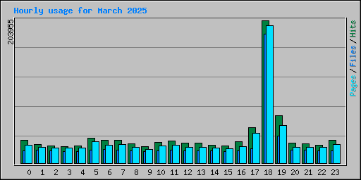 Hourly usage for March 2025