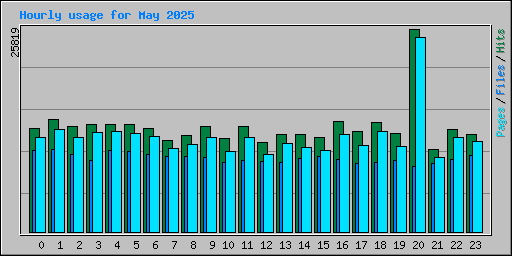 Hourly usage for May 2025