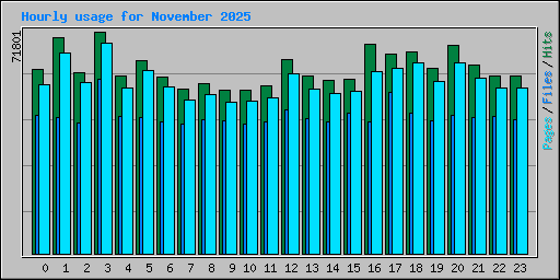 Hourly usage for November 2025